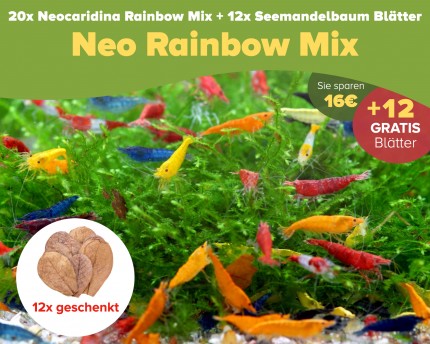 20x Rainbow Aquarium Neo Garnelen Mix + 12x Seemandelbaum Blätter