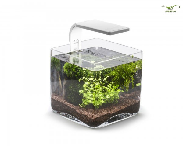 Aquael nano Glas Aquarium - Würfel 6,5 l