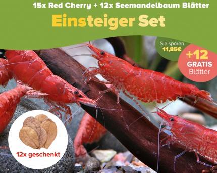 15 St. Red Cherry Garnelen + 12x Seemandelbaum Blätter S