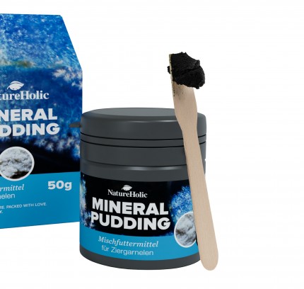 Natureholic Pudding + Dosierlöffel